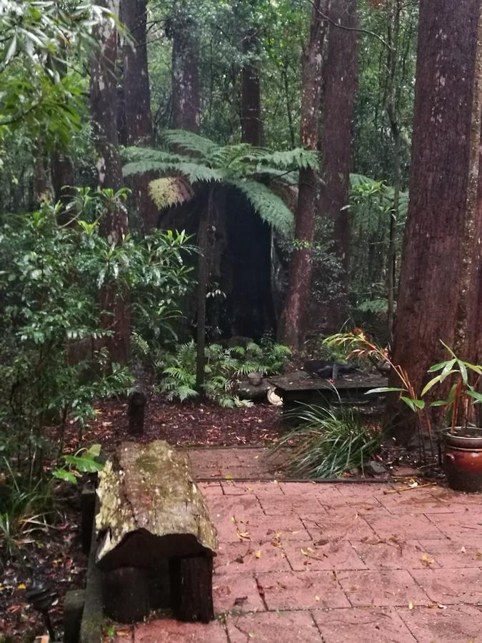 Appartamento Springbrook Storybook Esterno foto